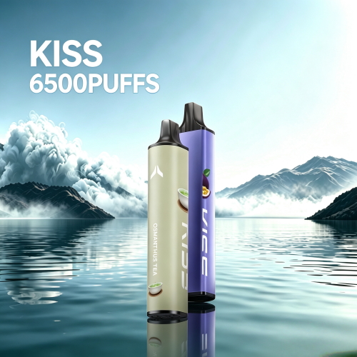 凱斯KIS5拋棄式6500口-1.png KISS凱斯6500口一次性:圖片 1